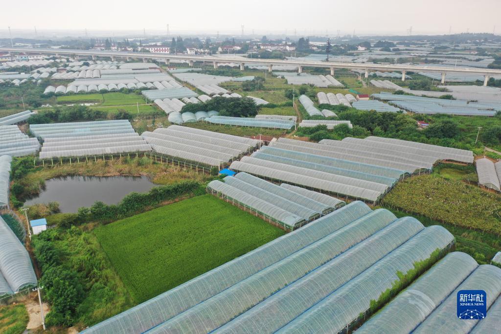 新宝2注册登录